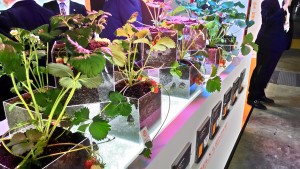 P_20150304_103930_HDR