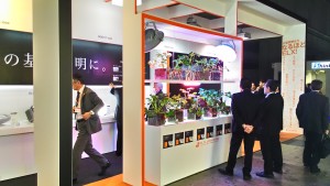 P_20150304_105054_HDR