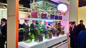 P_20150304_135457_HDR